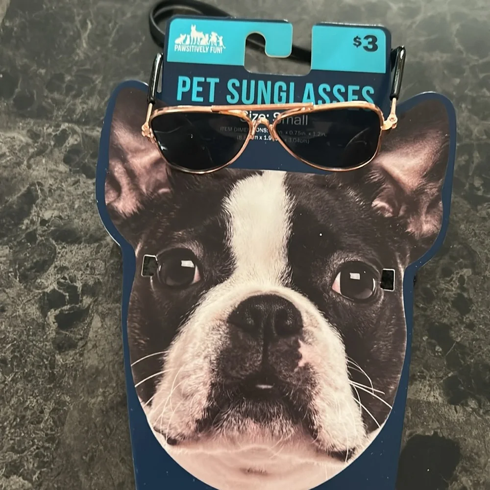 Light Gray dog Socks and sun glasses